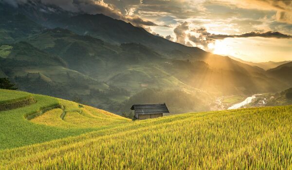 Sapa Best Terraced Rice-fields